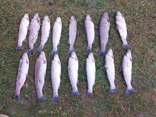 Forellenhof Polling-3