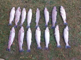 Forellenhof Polling-3