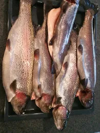 Forellenhof Polling-4