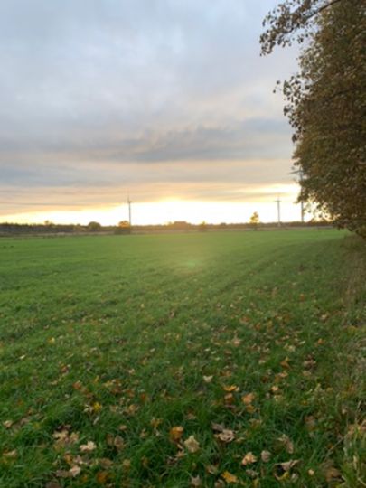 Großenasper See-3