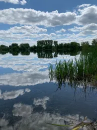 Kiessee 1a (Northeim)-4