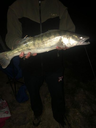 Rhein (Rodenkirchen)-3