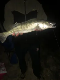 Rhein (Rodenkirchen)-3