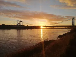 Rhein (Rodenkirchen)-2