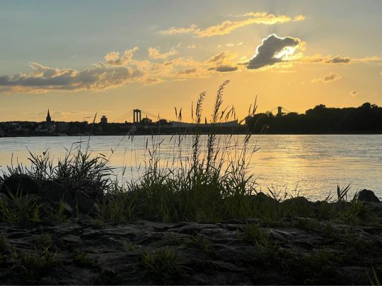 Rhein (Rodenkirchen)-4