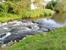 Diemel (Bad Karlshafen)