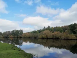 Goldfischarm (Herbrum)