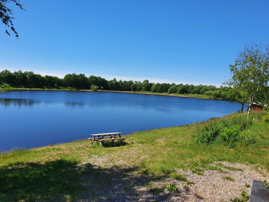 Lovtrup Fiskesø-2