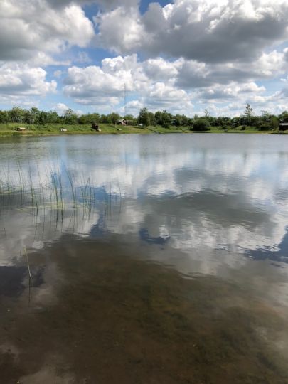Lovtrup Fiskesø-1