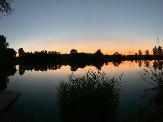 Hartinger Weiher-1