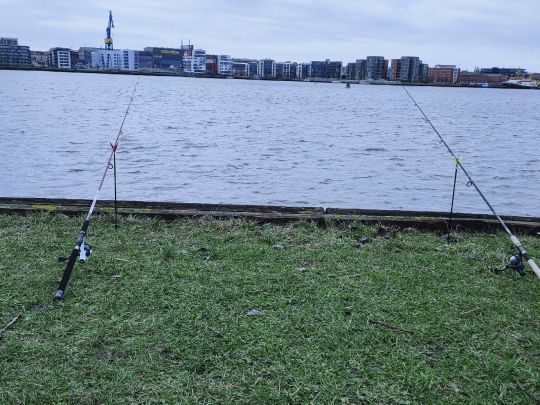 Unterwarnow (Rostock)-1