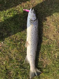 Unterwarnow (Rostock)