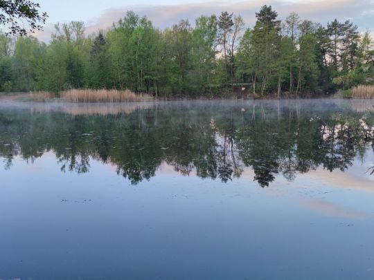 Badebruch Lichtenow-1