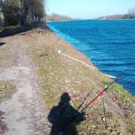 Rhein (Meißenheim)-2