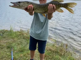 Mindel (Pfaffenhausen)