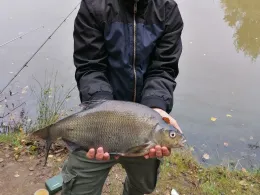 Angelpark Dörenther Klippen-1