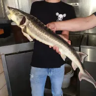 Angelpark Dörenther Klippen-2