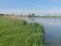 Torfstich VII (Trantow)