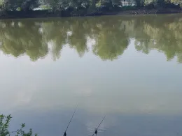 Rhein (Nackenheim)-3