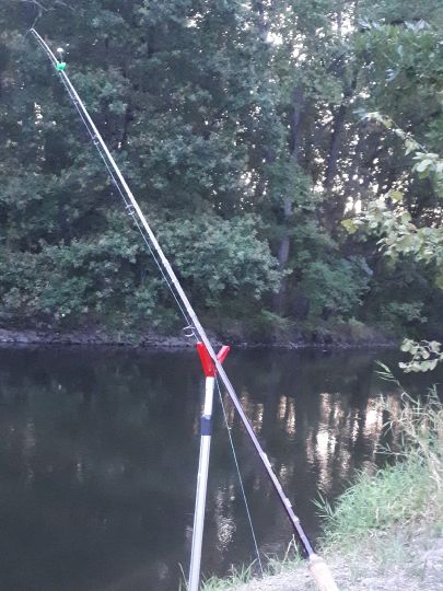 Weiße Elster (Döllnitz)-2