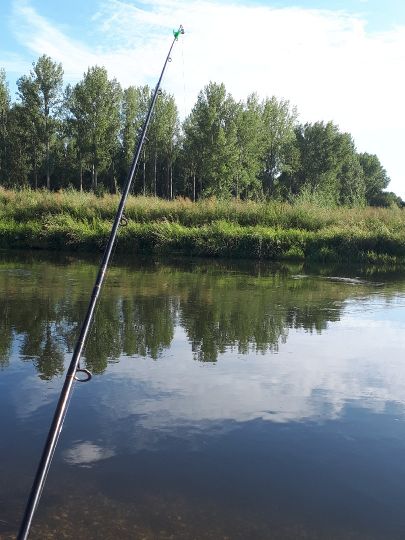 Weiße Elster (Döllnitz)-3