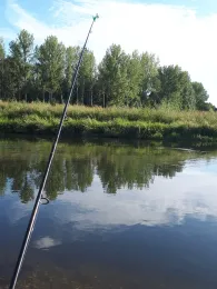 Weiße Elster (Döllnitz)-3