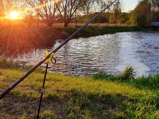 Weiße Elster (Döllnitz)-4