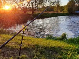 Weiße Elster (Döllnitz)-4