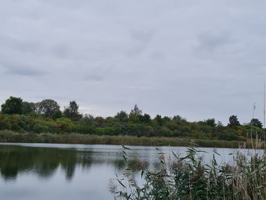 Restloch Königsaue-4