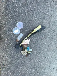 Weißeritz (Dresden)-2