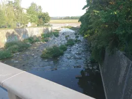 Weißeritz (Dresden)-1