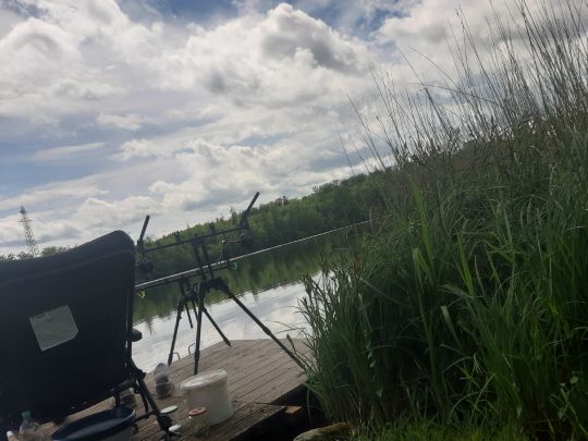 Rhein (Schwörstadt)-1