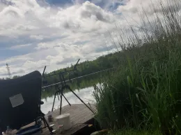 Rhein (Schwörstadt)-1