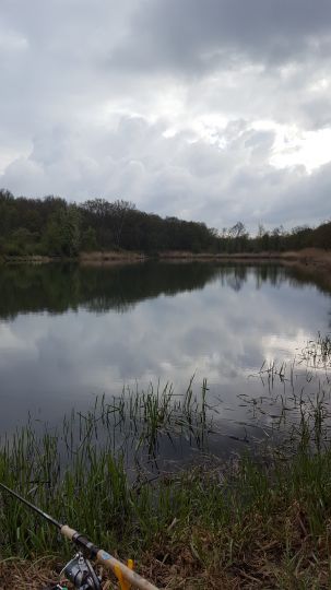 Waldseen Biederitzer Busch-1