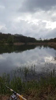 Waldseen Biederitzer Busch-1