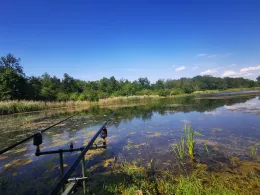 Waldseen Biederitzer Busch-4