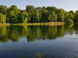 Waldseen Biederitzer Busch-2