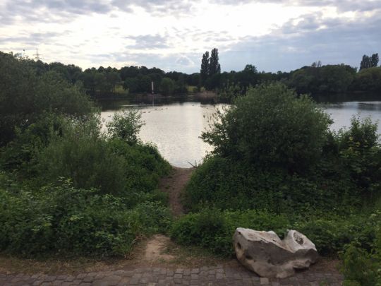 Deichsee (Buga-See Düsseldorf)-1