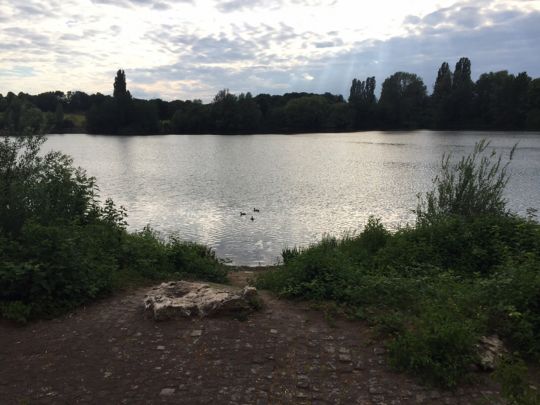 Deichsee (Buga-See Düsseldorf)-3