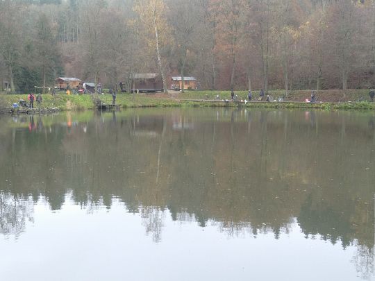35+ Angelpark Vip Teich, Liminierte platzanzahl und nachtangeln