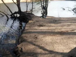 Krumme Lanke (Berlin)