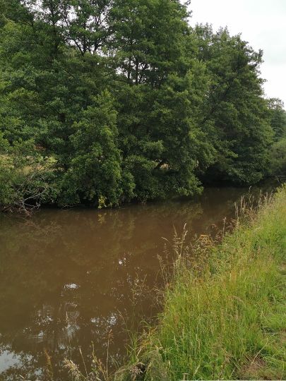 Glan (Glan-Münchweiler)-2