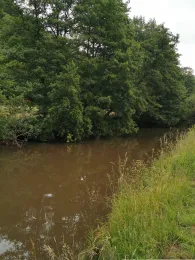 Glan (Glan-Münchweiler)-2