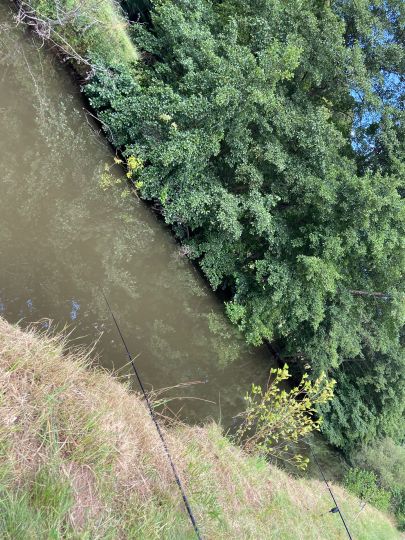 Glan (Glan-Münchweiler)-3