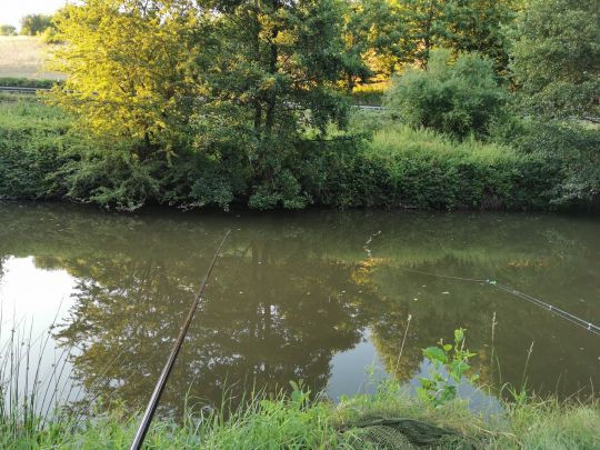 Glan (Glan-Münchweiler)-4