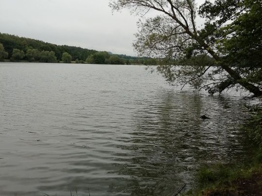 Kinzigstausee-2