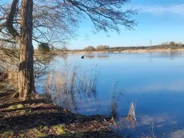 Wutzsee (Liebenwalde)-3