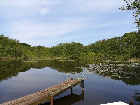 Brandsee (Garzau) angeln