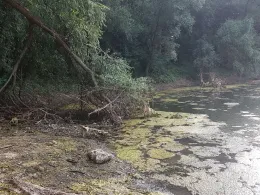 Geschlossener Trompeterbau (Speyer)-1