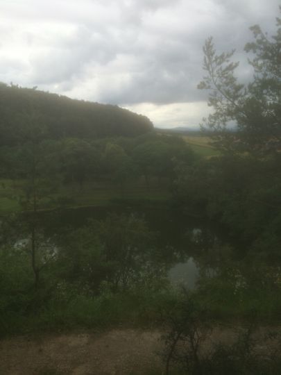 Frickenhäuser See
